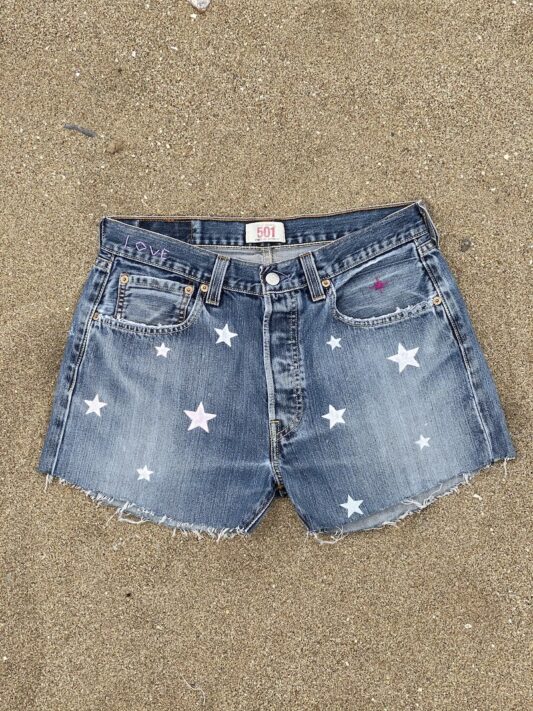 Celia Dragouni The Star Denim Shorts 2