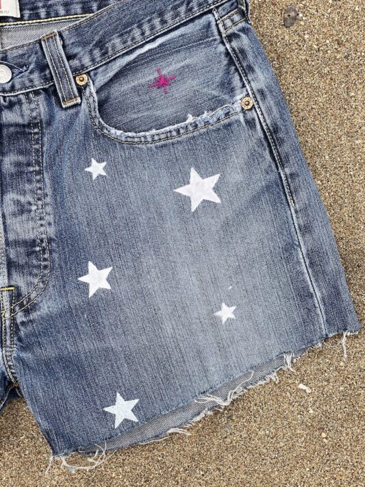 Celia Dragouni The Star Denim Shorts 2