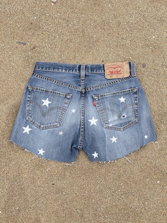 Celia Dragouni The Star Denim Shorts 2