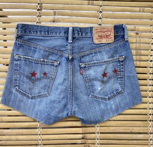 Celia Dragouni The Star Denim Shorts 7