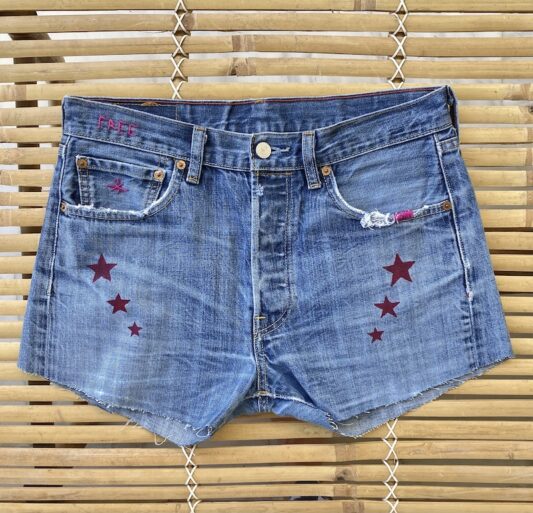 Celia Dragouni The Star Denim Shorts 7