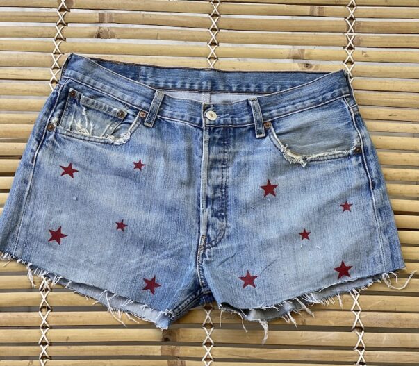 Celia Dragouni The Star Denim Shorts 9