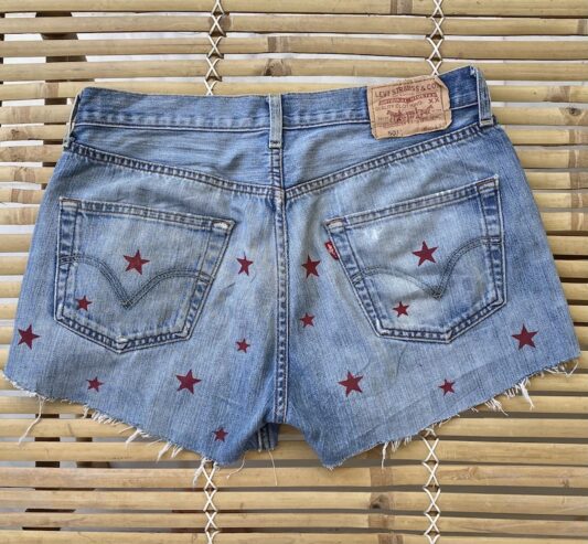 Celia Dragouni The Star Denim Shorts 9