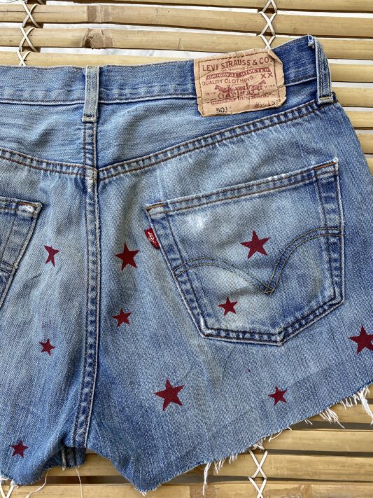 Celia Dragouni The Star Denim Shorts 9